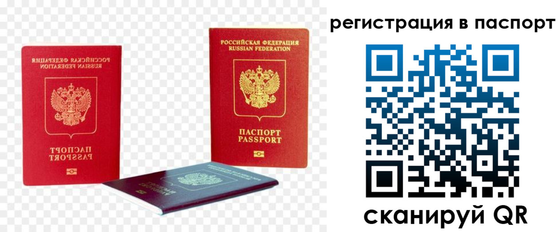 временная регистрация поиск в Старой Купавне